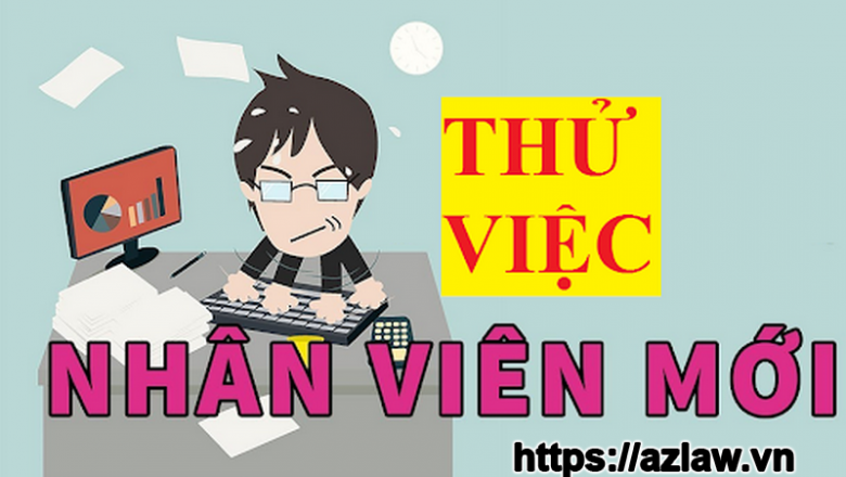Hợp đồng thử việc? Quy định, nội dung?